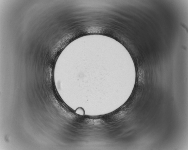 X0000103940637200810171816