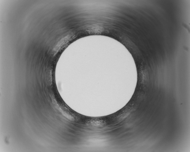 X0000103940638200810171816