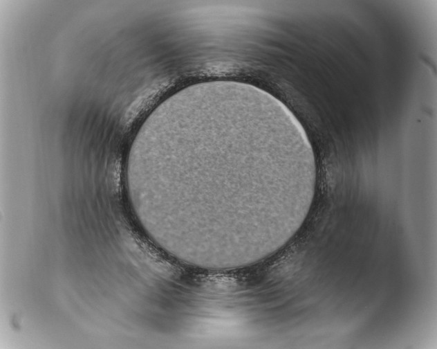 X0000103940640200810171816