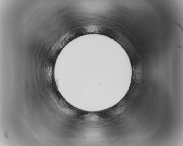 X0000103940648200810171816