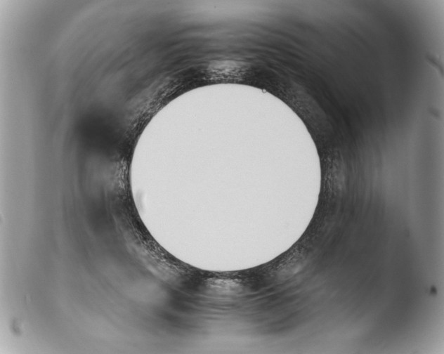 X0000103940649200810171816