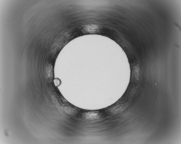 X0000103940651200810171816