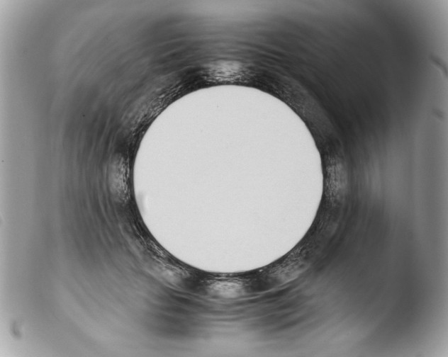 X0000103940653200810171816