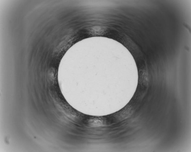 X0000103940655200810171816