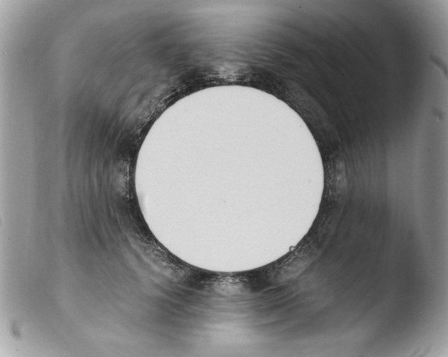 X0000103940656200810171816