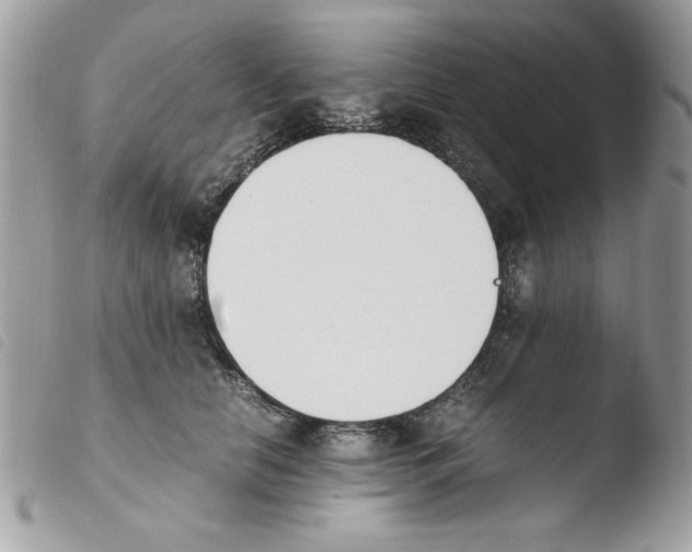 X0000103940658200810171816