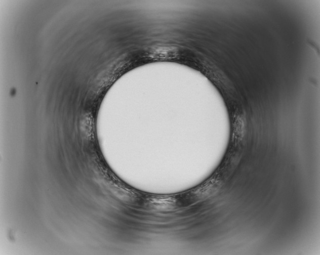 X0000103940659200810171816