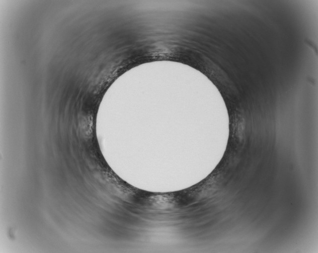 X0000103940660200810171816