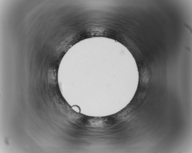 X0000103940661200810171816