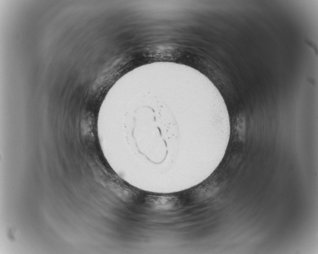 X0000103940663200810171816