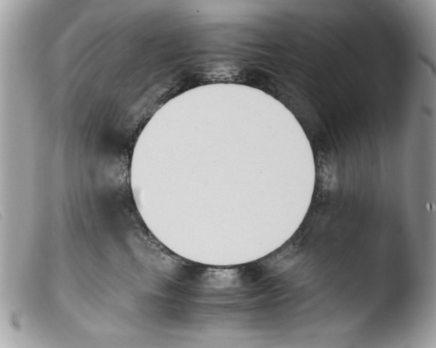 X0000103940665200810171816