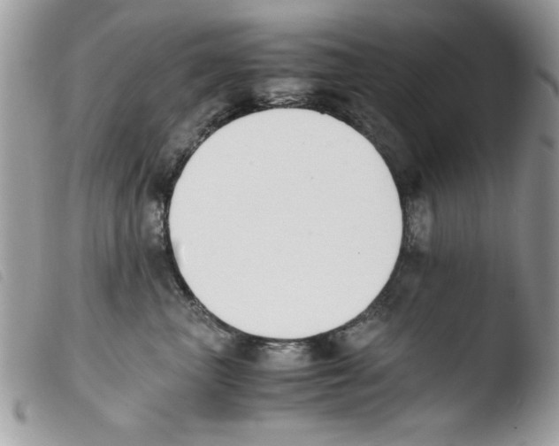 X0000103940667200810171816