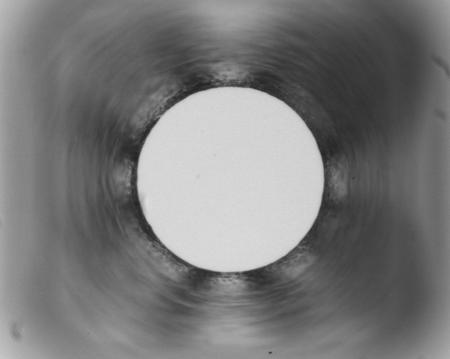 X0000103940668200810171816