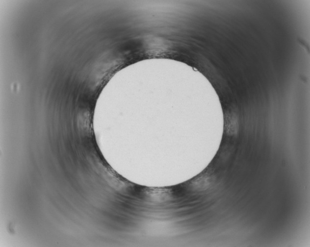 X0000103940670200810171816