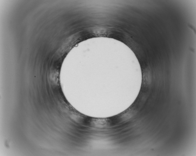 X0000103940671200810171816