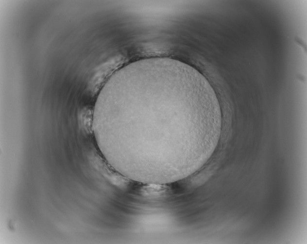 X0000103940672200810171816