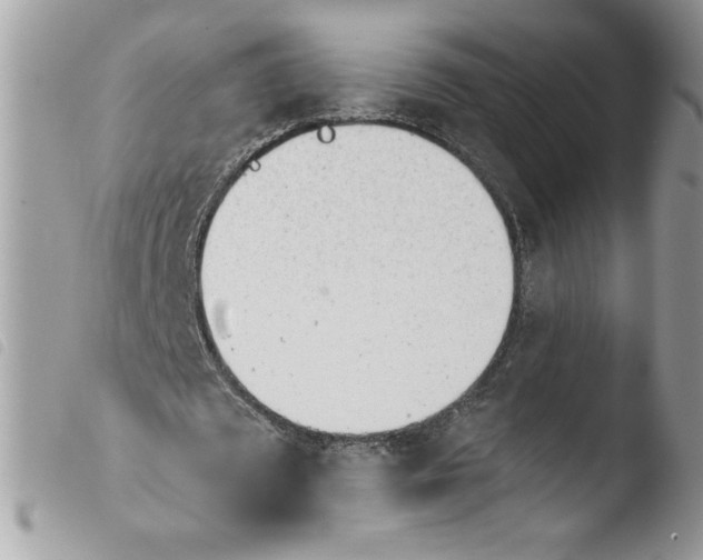 X0000103940673200810171816