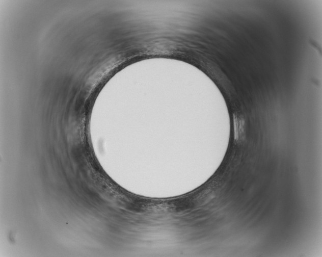 X0000103940675200810171816