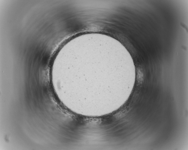 X0000103940676200810171816