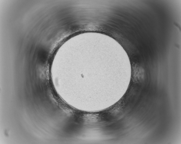 X0000103940680200810171815