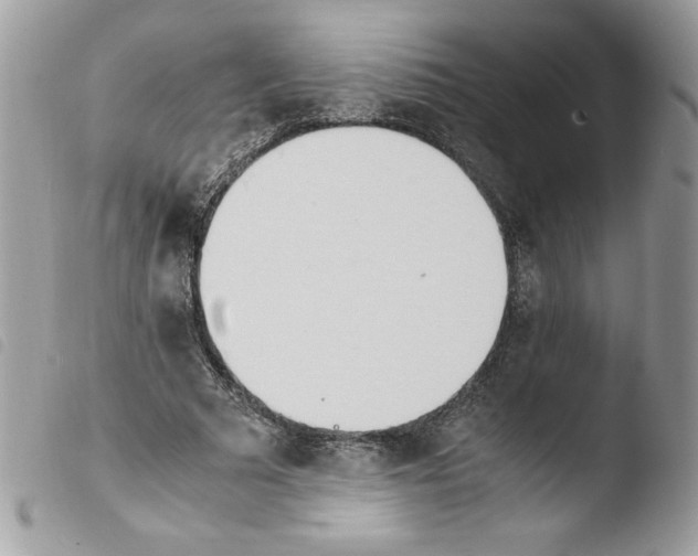 X0000103940681200810171815