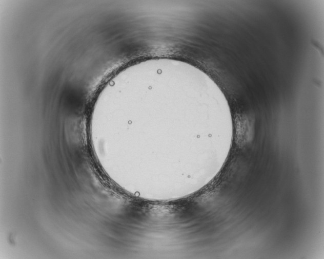 X0000103940684200810171815