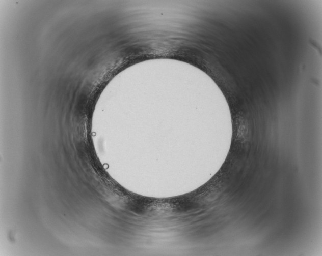 X0000103940685200810171815