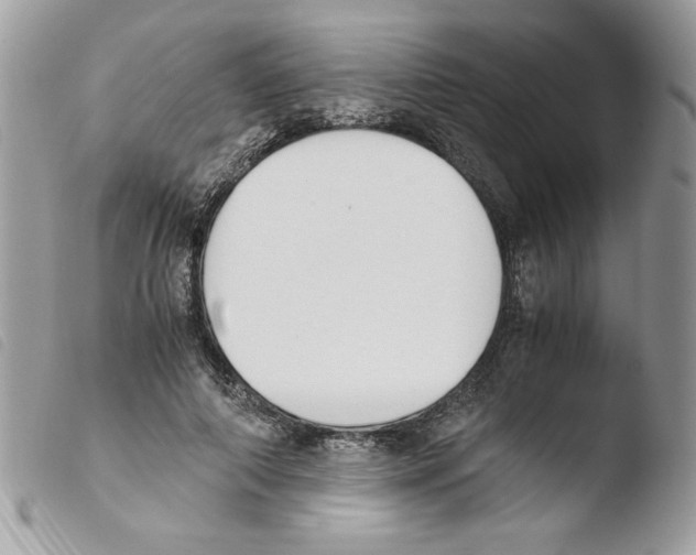 X0000103940690200810171815