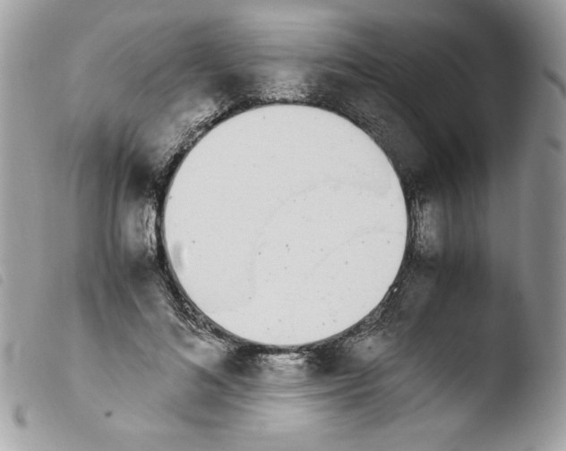 X0000103940692200810171815