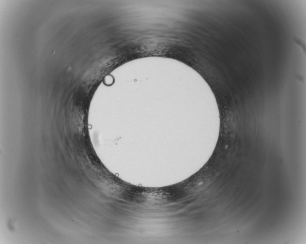 X0000103940693200810171815