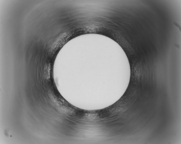 X0000103940694200810171815