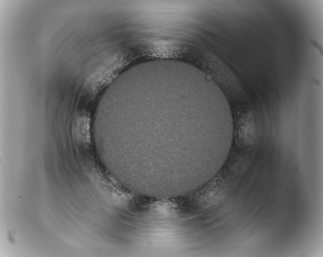 X0000103940696200810171815