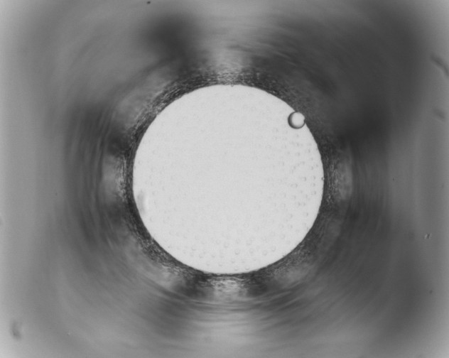 X0000103940698200810171815