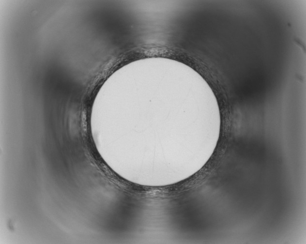 X0000103940700200810171815