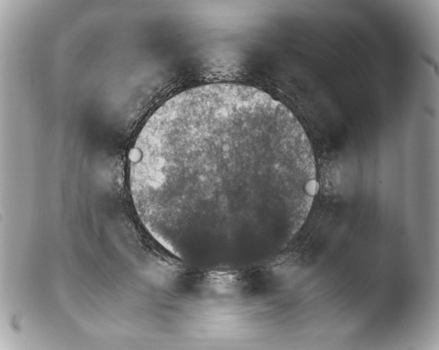 X0000103940701200810171815