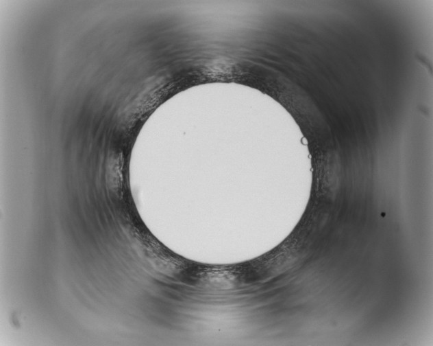 X0000103940702200810171815