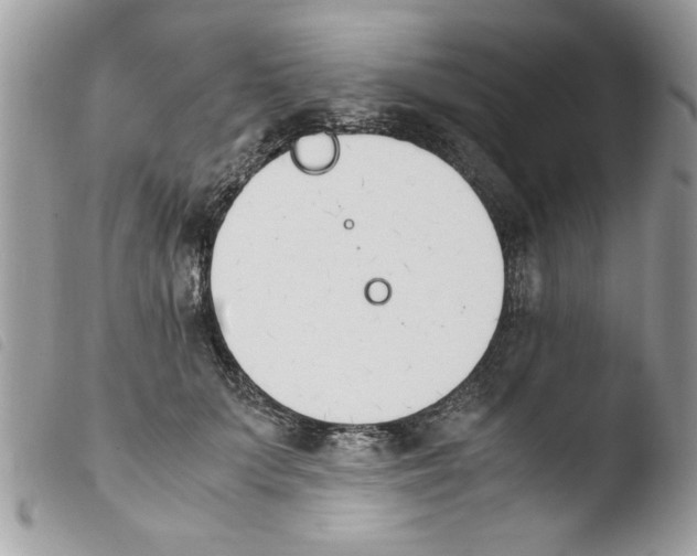 X0000103940703200810171815