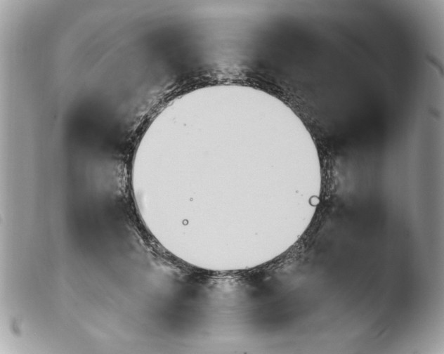 X0000103940704200810171815