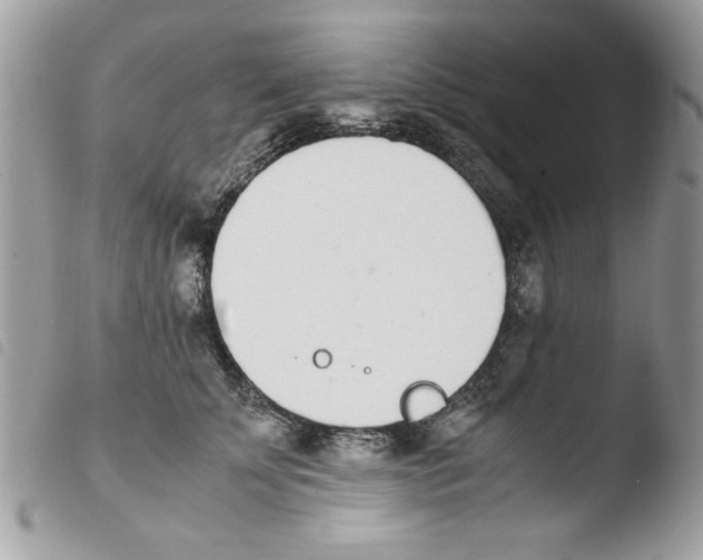 X0000103940707200810171815