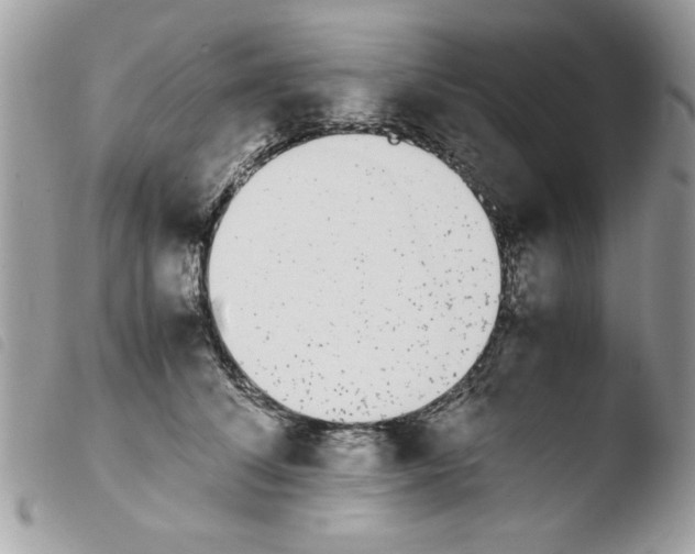 X0000103940708200810171815