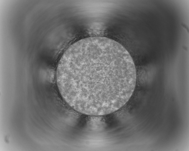 X0000103940709200810171815