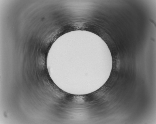 X0000103940710200810171815