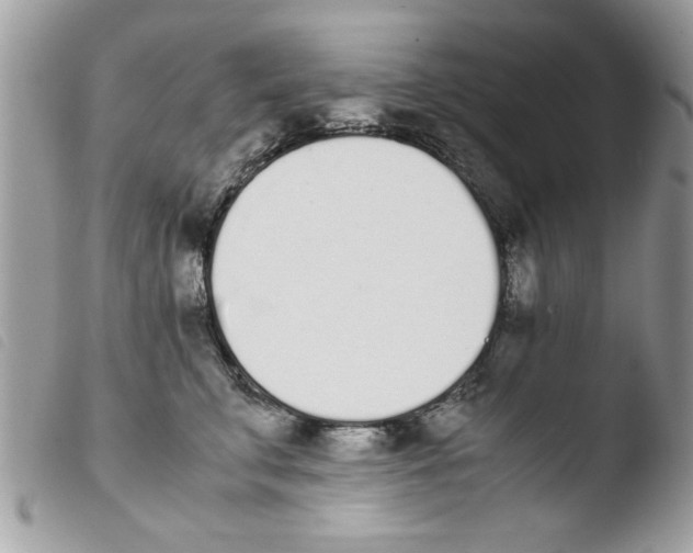 X0000103940711200810171815