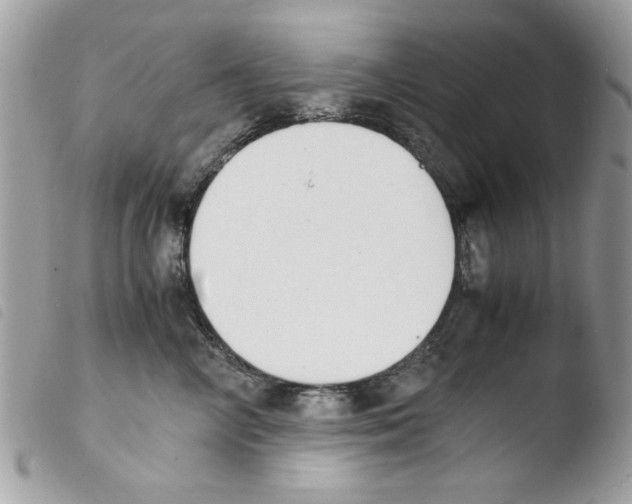 X0000103940714200810171815