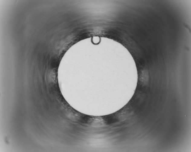 X0000103940715200810171815