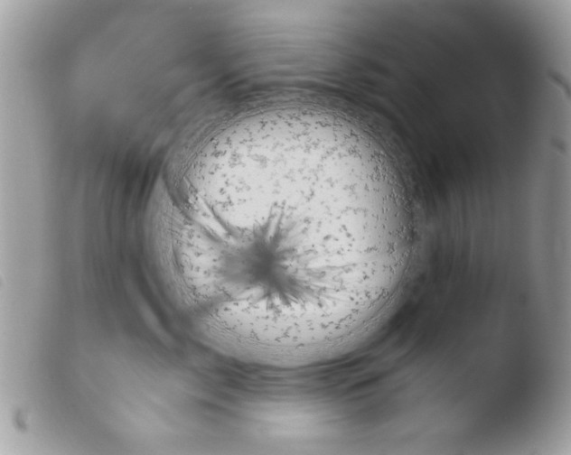 X0000103940717200810171815