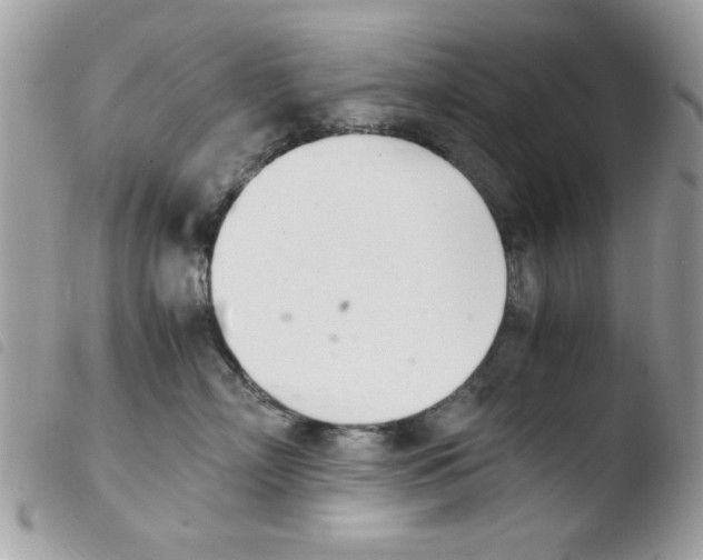 X0000103940718200810171815