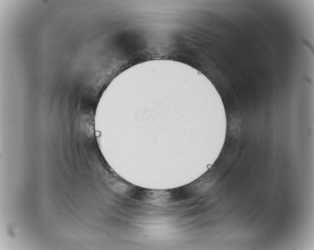 X0000103940719200810171815