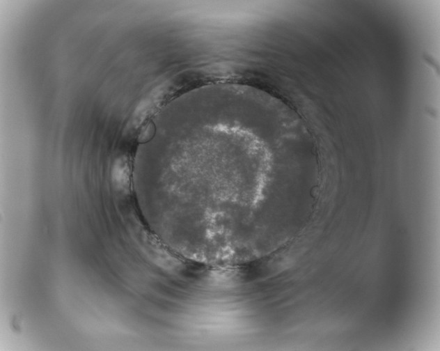 X0000103940720200810171815