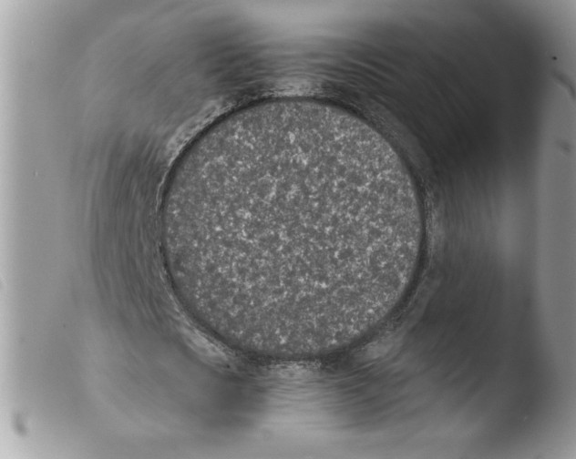 X0000103940721200810171814